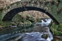 IMG_19838 BR 0 7D_HDR_800